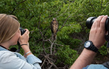 Ecuador-Galapagos-Legend 5-day Cruise